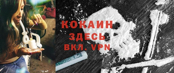 ешки Арсеньев